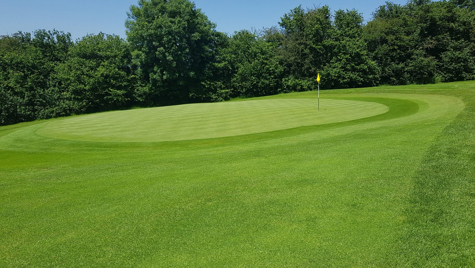 A view of the 1st green at Woodlake Park Golf Club